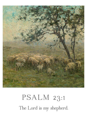 Image Not Available